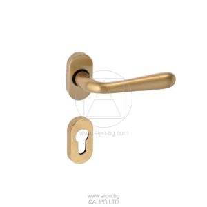 Дръжка за врата с розетка - златиста